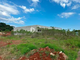 Vista externa de um edifício cercado por vegetação densa.