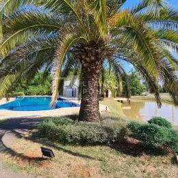 Vista externa mostrando palmeiras e um corpo d'água em um terreno.