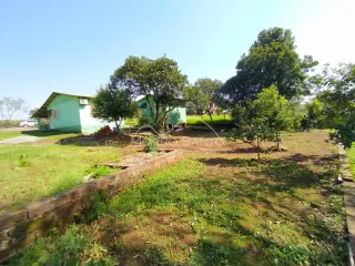 Vista externa de um terreno com grama e árvores em Lajeado, Brasil.