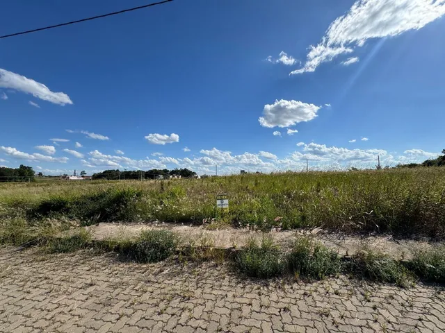 Vista externa de uma área de terreno com vegetação seca sob um céu azul claro.
