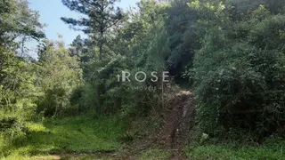 Área rural, foto 6
