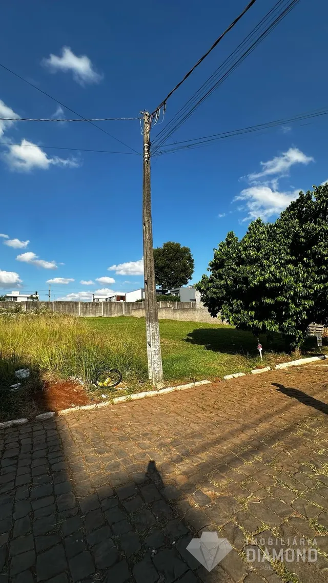 Terreno, foto 3