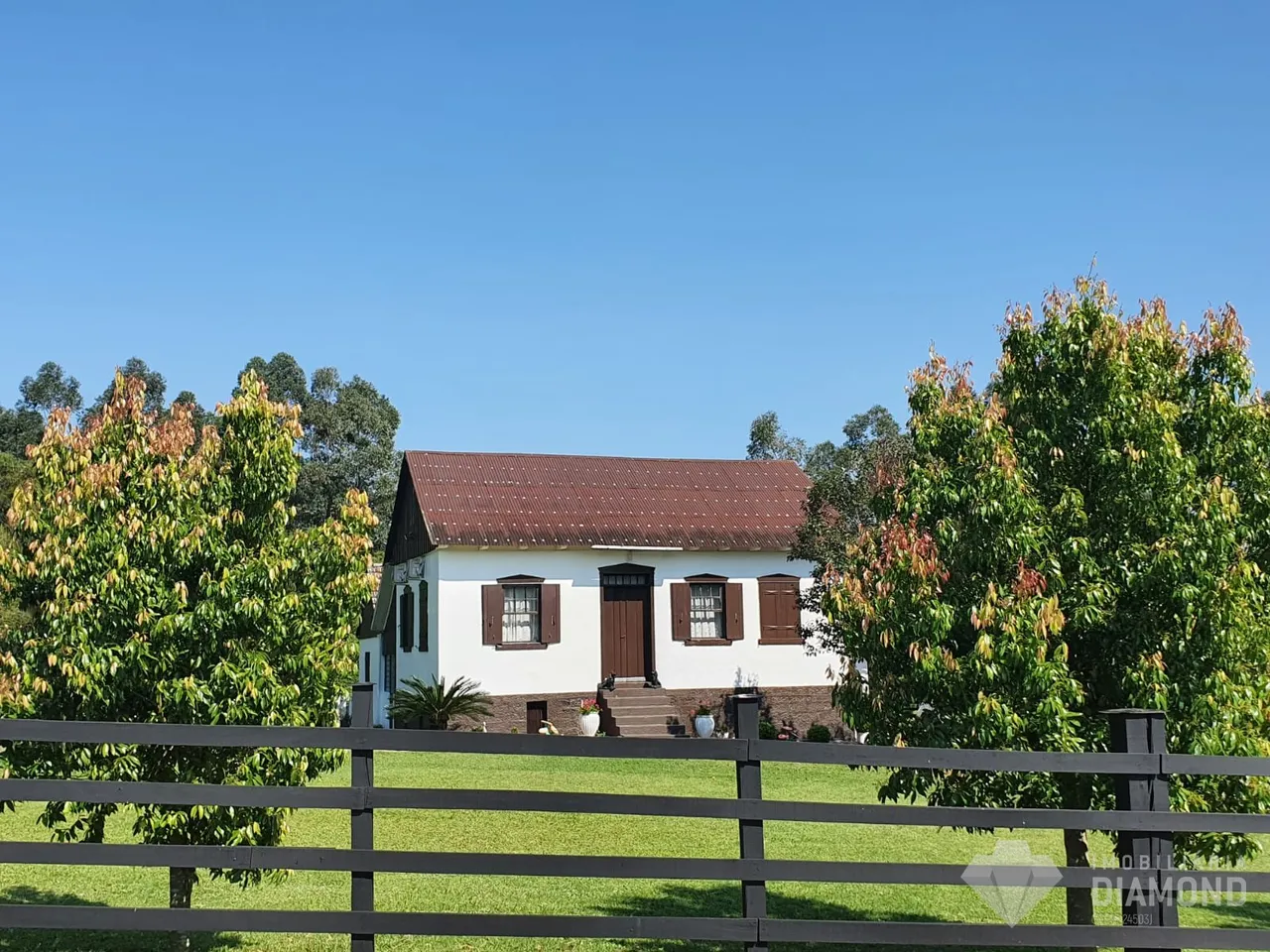 Área rural com 4 dormitórios, foto 1