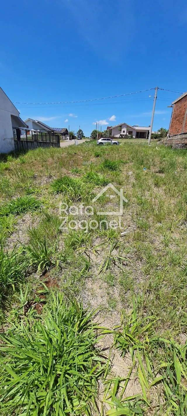 Terreno, foto 5