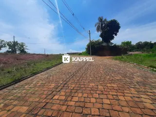Vista de um caminho de tijolos em uma área externa com vegetação.