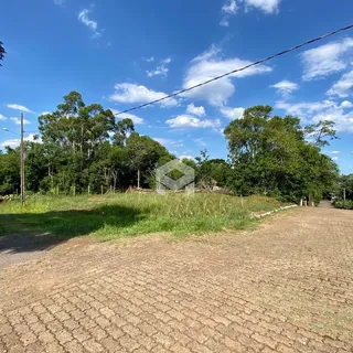 Vista da propriedade com vegetação e árvores ao fundo.