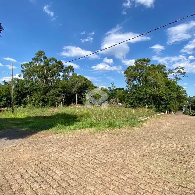 Vista da propriedade com vegetação e árvores ao fundo.