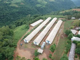 Vista aérea de estruturas longas em uma área rural com vegetação densa.
