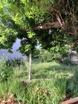 Terreno, foto 1