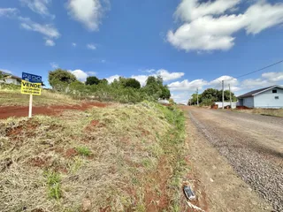 Vista da propriedade com vegetação rala e estrada de terra.