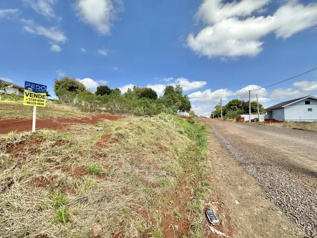 Vista da propriedade com vegetação rala e estrada de terra.