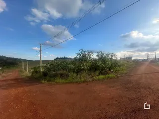 Uma estrada de terra atravessa uma área de vegetação no campo.