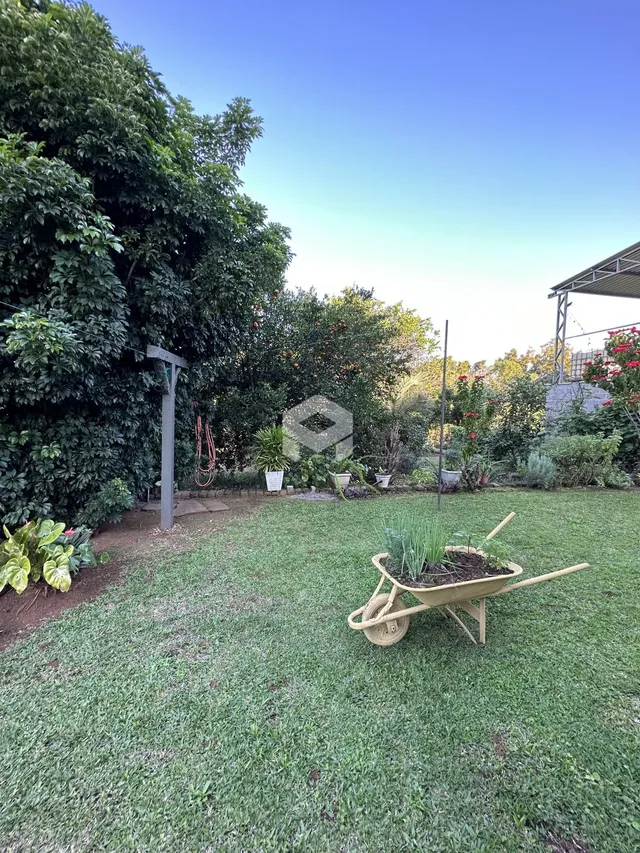 Vista do jardim com gramado e vegetação densa