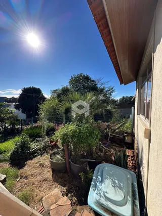 Vista do jardim externo com plantas e terra no quintal.