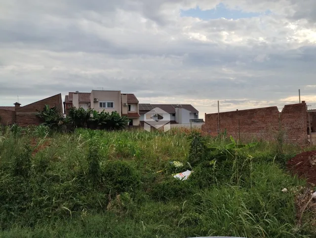 Vista externa de casas com vegetação alta no primeiro plano.
