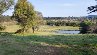 Paisagem de campo aberto com árvores e um lago em Lajeado, Brasil.