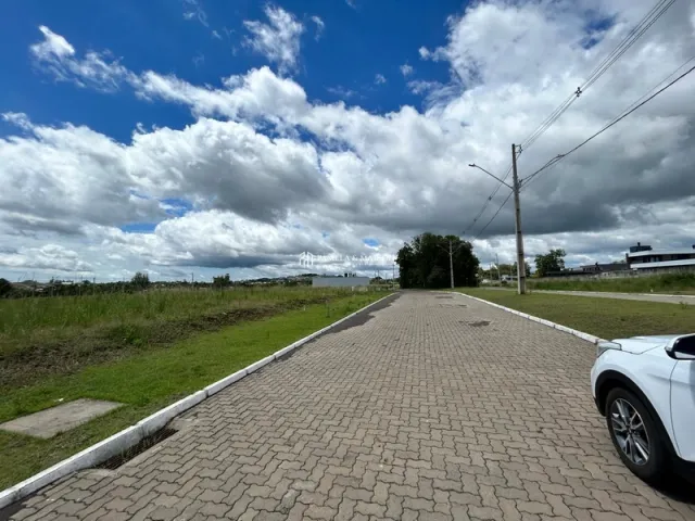 Vista da estrada de acesso de uma propriedade em Lajeado, Brasil.