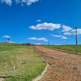 Vista de um campo aberto com céu azul e vegetação.