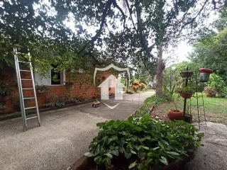 Área rural com 3 dormitórios, foto 4