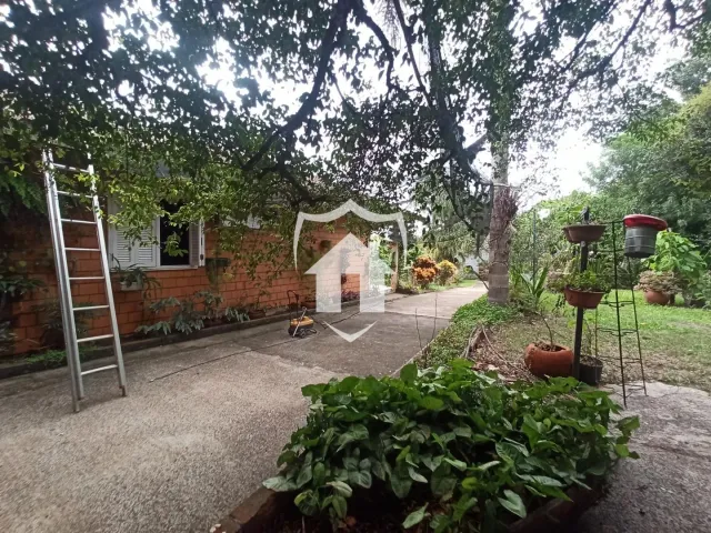 Área rural com 3 dormitórios, foto 4