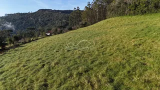 Vista de uma colina verde com vegetação densa ao fundo.