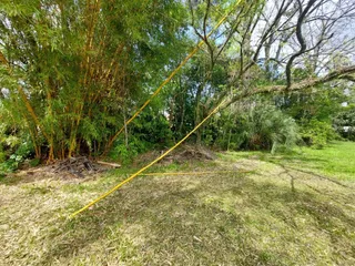 Terreno, foto 3