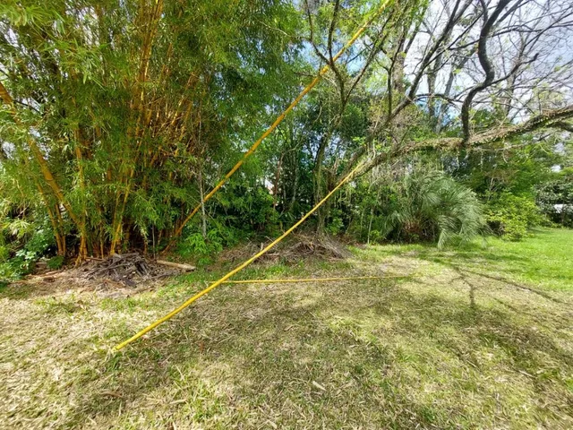 Terreno, foto 3