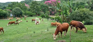 Área rural, foto 20