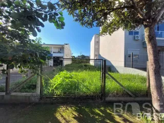 Terreno, foto 3