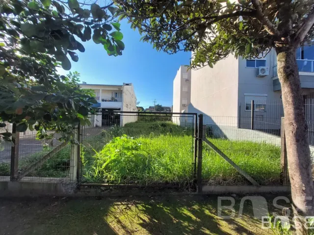 Terreno, foto 3