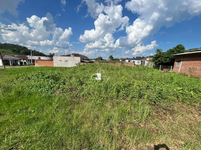 Terreno, foto 3