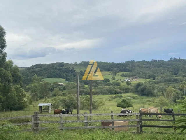 Área rural, foto 3