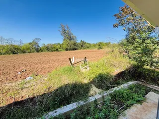 Vista de um campo de terra com vegetação rasteira em primeiro plano.