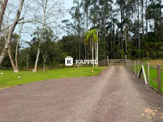 Vista da entrada da propriedade com estrada de terra e vegetação ao fundo.