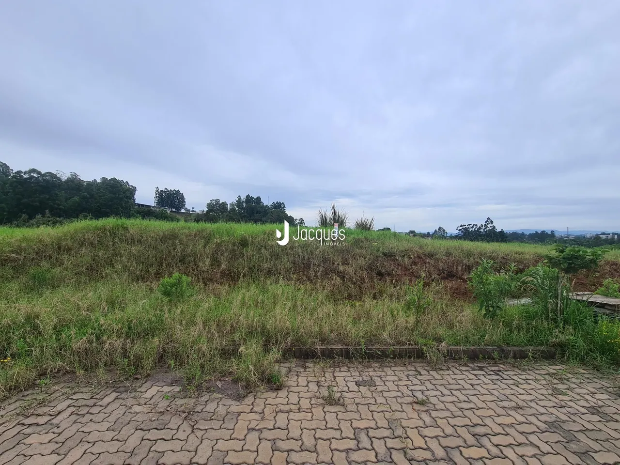 Paisagem de campo com grama alta e pavimento de tijolos na frente da propriedade.