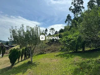Vista de uma paisagem verde com campo gramado e vegetação densa.
