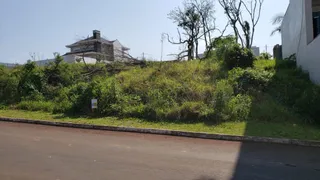 Vista externa de uma área com vegetação densa ao lado de uma estrada.