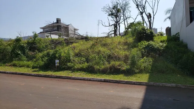 Vista externa de uma área com vegetação densa ao lado de uma estrada.