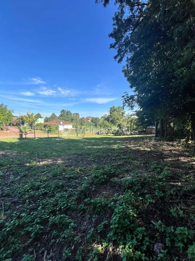 Terreno, foto 4