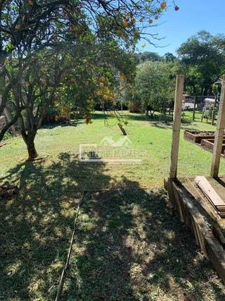 Terreno, foto 3