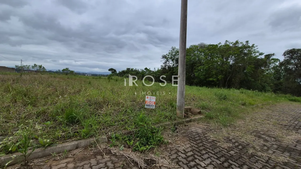 Vista de uma área de campo com vegetação densa e um caminho de terra.
