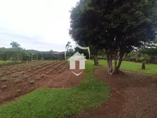 Casa com 3 dormitórios, foto 5