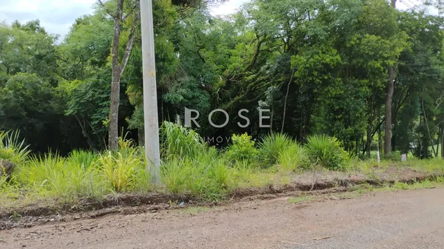 Área rural, foto 5