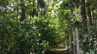 Área rural com 1 dormitório, foto 16
