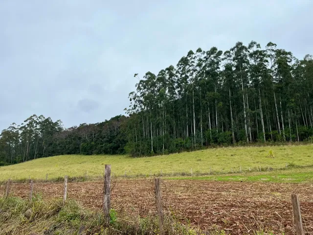 Área rural, foto 5