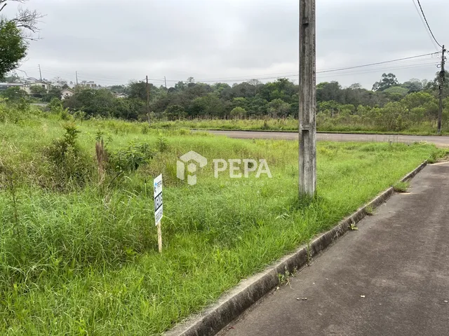 Terreno, foto 2