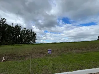 Terreno, foto 1