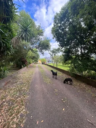 Área rural com 4 dormitórios, foto 3