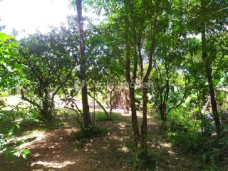 Área rural, foto 11