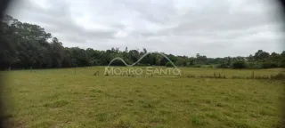 Vista de um campo gramado com vegetação densa ao fundo.